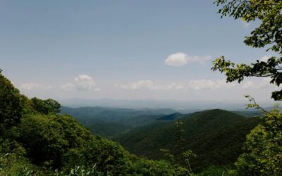 Want Options for Mental Health in Roanoke, Blacksburg,or Salem? Learn More About Our Providers!